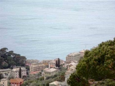 CAMOGLI COLLINA RUTA appartamento in posizione panoramica