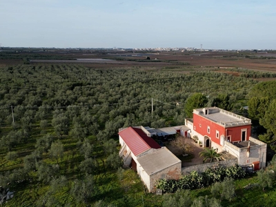 Tenuta in vendita a Ruvo di Puglia