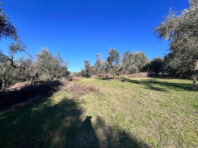 Terreno edificabile in Vendita a Fonte Nuova