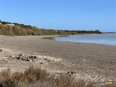 Terreno in Vendita a Noto