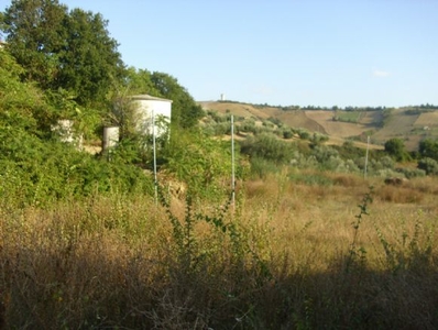 Terreno agricolo in vendita a Mosciano Sant'angelo