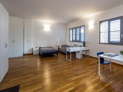 Ristrutturato monolocale in affitto a Bovisa, Milano
