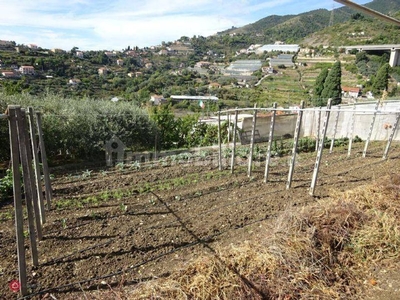 Terreno Sanremo, Imperia