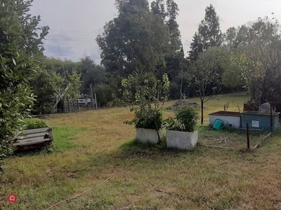 Terreno agricolo in Vendita in Via dell'Uliveta a Livorno