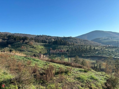 Terreno agricolo in Vendita in Via di Rubbiana a Greve in Chianti