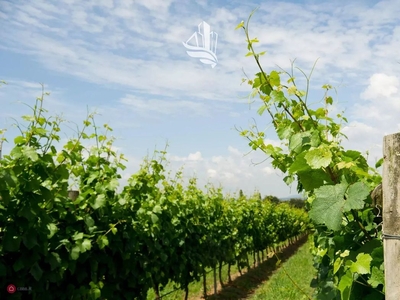 Terreno agricolo in Vendita in Via San Giacomo a Laives