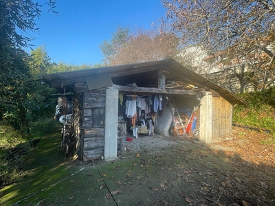 Terreno Agricolo in vendita, Massa mirteto