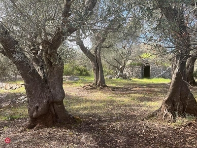 Terreno edificabile in Vendita in chiobbica a Ostuni