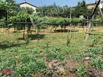 Terreno edificabile in Vendita in Terreno - roncà a San Martino Buon Albergo