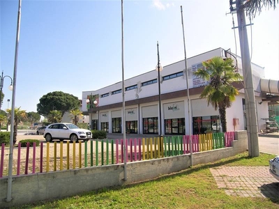 Edificio Commerciale in Vendita a Torrita di Siena