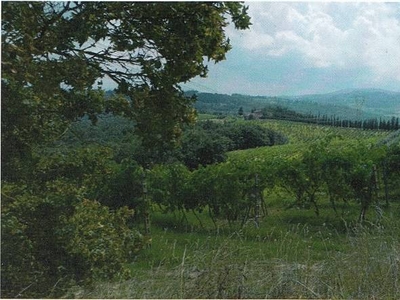 Vendita di Immobili Storici in Toscana: Azienda Agricola a Gambassi Terme