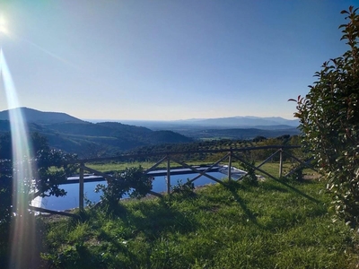 Terreno Agricolo in vendita a Campagnatico