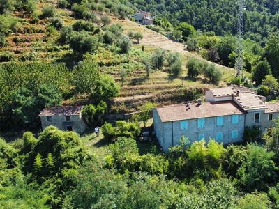 Casa semi indipendente in vendita a Pietrasanta Lucca Strettoia