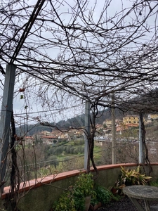 stabile intero in vendita a Pietrasanta