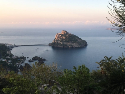 Casa a Ischia con barbecue, terrazza e giardino