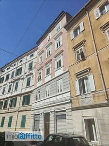 Monolocale Trieste