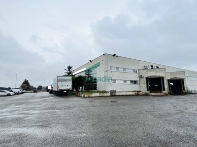 Immobile Industriale in vendita a Bitritto contrada Parco Vecchio, 11