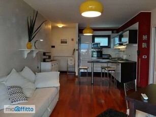 Appartamento arredato con terrazzo Porto allegro