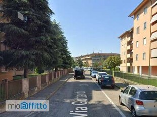 Appartamento arredato con terrazzo Porto garibaldi