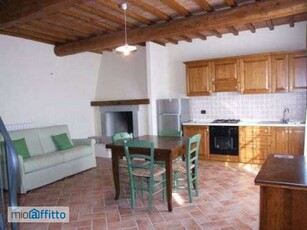 Appartamento arredato Montopoli In Val d'Arno