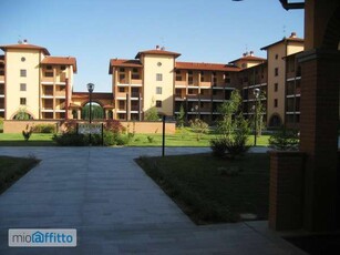 Appartamento con terrazzo San Martino Siccomario
