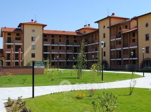 Appartamento in Affitto in Via Madonna 61 a San Martino Siccomario