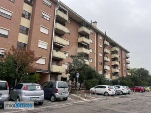 Bilocale arredato Ponte san giovanni