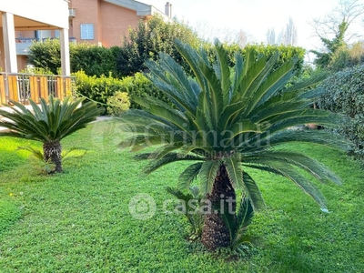 Casa indipendente in Affitto in a Anzio