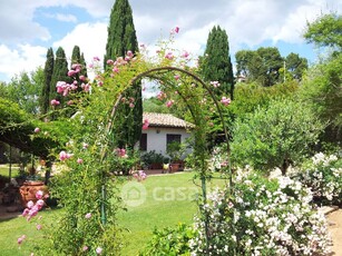 Villa in Affitto in Strada Provinciale Parrina a Orbetello