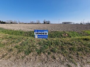 Altro in Vendita a Megliadino San Vitale Megliadino San Vitale