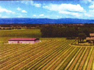 Azienda Agricola in vendita a Castiglione del Lago