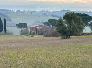 Azienda Agricola in vendita a Castiglione del Lago - Zona: Petrignano del Lago