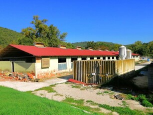 Azienda Agricola in vendita a Magione