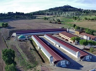 Azienda Agricola in vendita a Magione - Zona: Agello