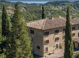 Azienda Agricola in vendita a Montone