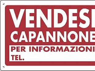 Capannone in Vendita a Loreggia