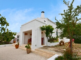 Ostuni - Casolare con Trulli e Piscina T817