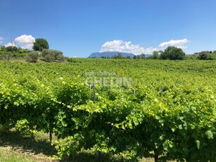 Susegana - ZONA CREVADA VENDESI TERRENO AGRICOLO