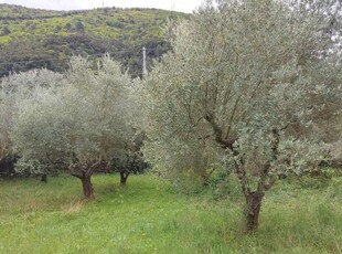 Terreno agricolo in Vendita a