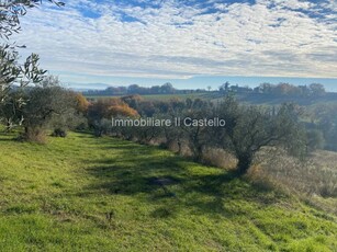 Terreno agricolo in Vendita a Castiglione del Lago Gioiella