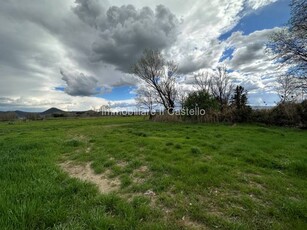 Terreno agricolo in Vendita a Castiglione del Lago Panicarola