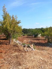 Terreno agricolo in Vendita a Ceglie Messapica