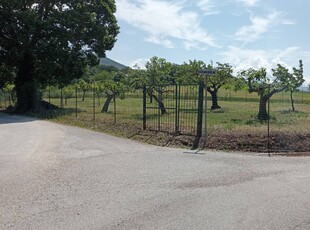 Terreno Agricolo in vendita a Fabriano