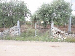 Terreno agricolo in Vendita a Modugno