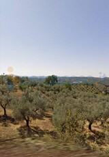 Terreno agricolo in vendita a Montorio Romano