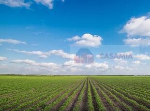 terreno agricolo in vendita a San Quirino