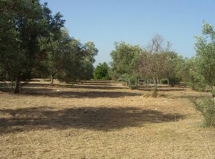 Terreno Agricolo in vendita a Siracusa