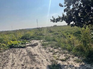 Terreno agricolo in Vendita a Viadana Viadana