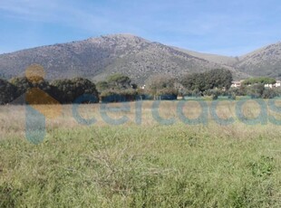 Terreno agricolo in vendita in Sp333, Piana Di Monte Verna