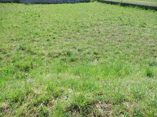 Terreno edificabile in Vendita a Trevignano Trevignano